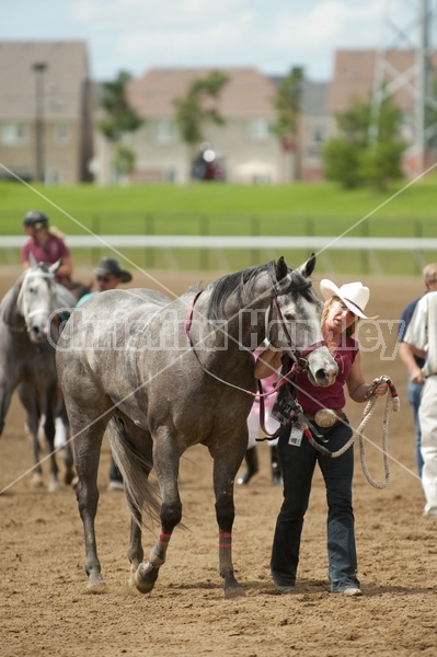 Quarter Horse Racing at Ajax Downs