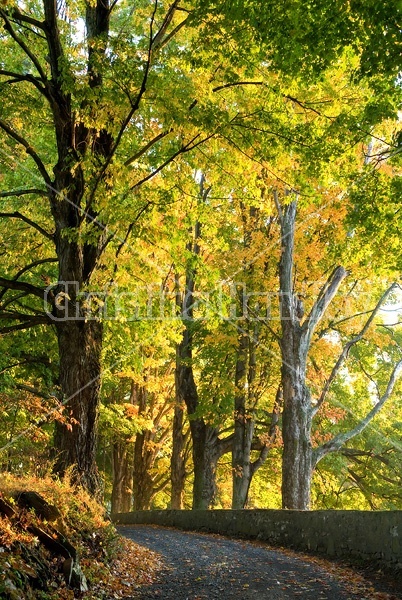 Autumn farm scene