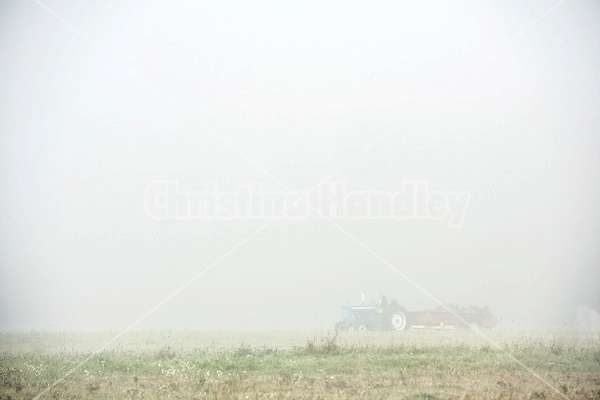 Spreading manure in the early morning fog