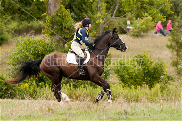 Lanes End Horse Trials