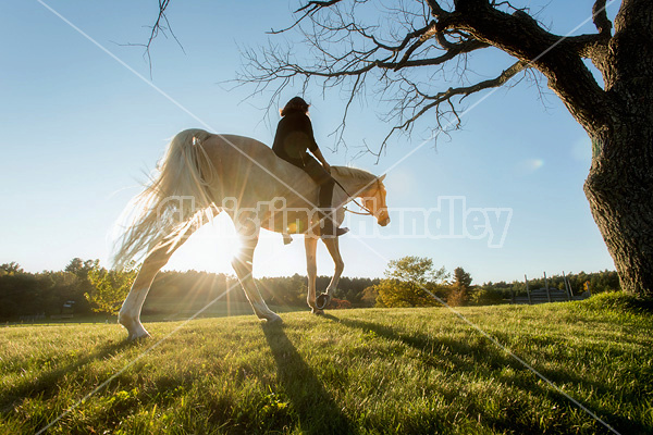 Woman riding a palomino horse