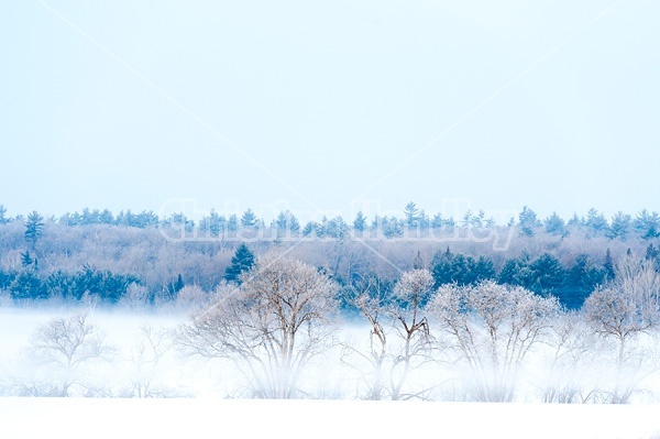 Farm field scene on a cold frosty winter morning