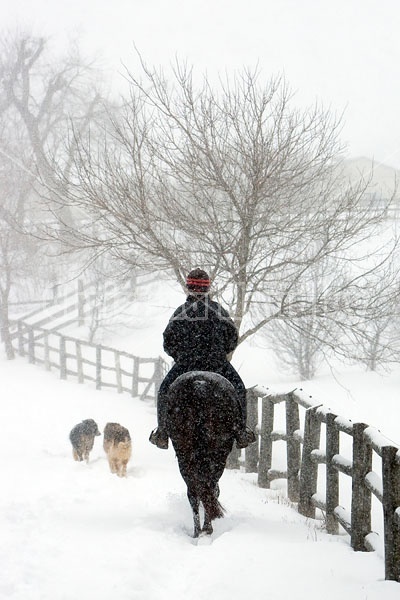 Woman horseback riding in the winter