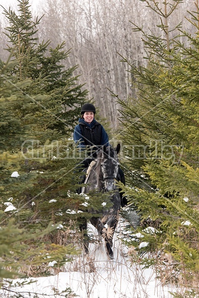 Woman riding Hanoverian mare through forest