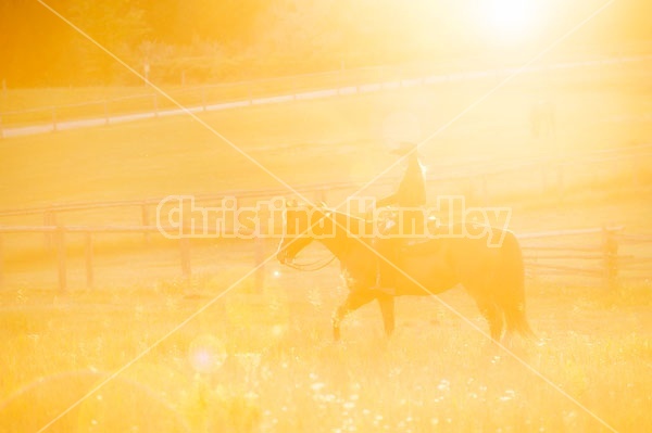 Young woman riding an American Paint Horse mare in the golden glow of the late evening light