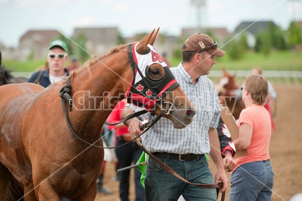 Quarter Horse Racing at Ajax Downs