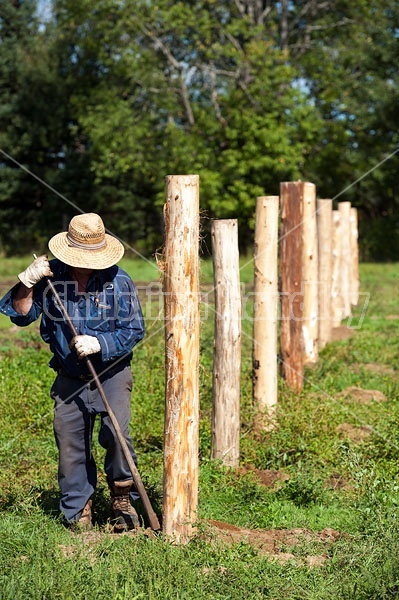 Farmer building new fence