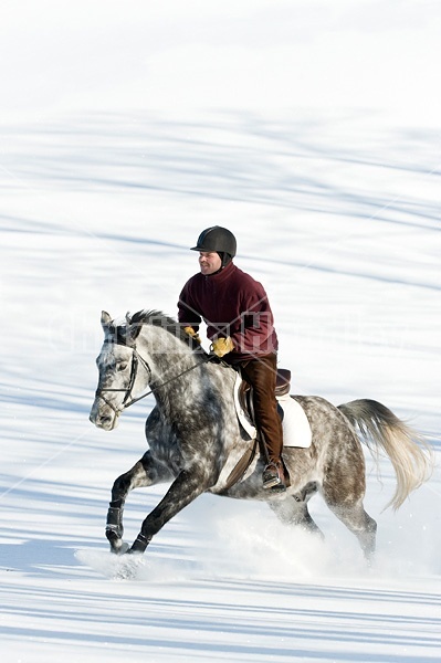 Man riding grey horse galloping through deep snow