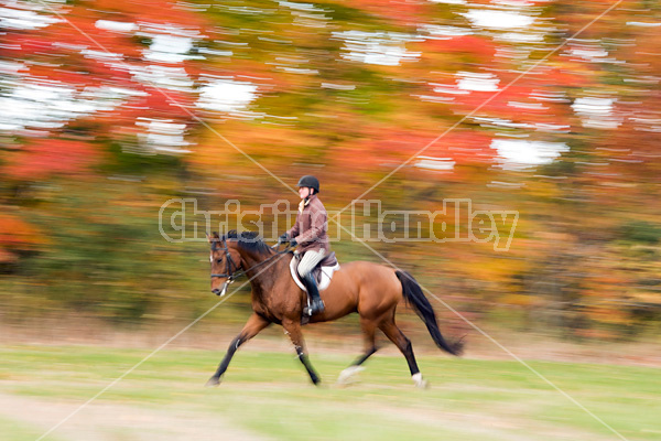 Woman riding bay horse in the fall colors