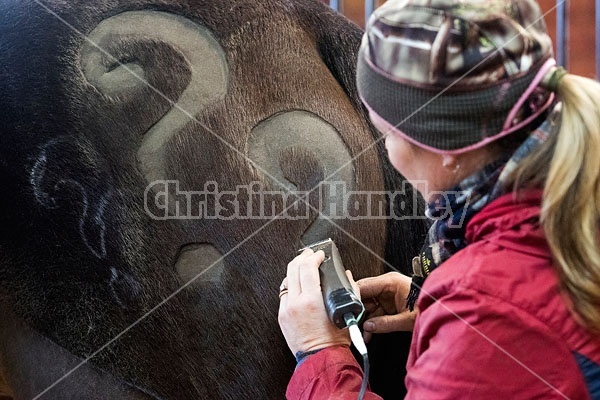 Woman clipping horse