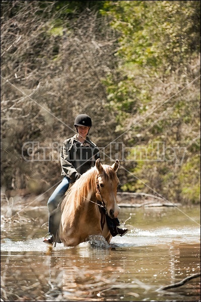 Riding Rocky Mountain Horses