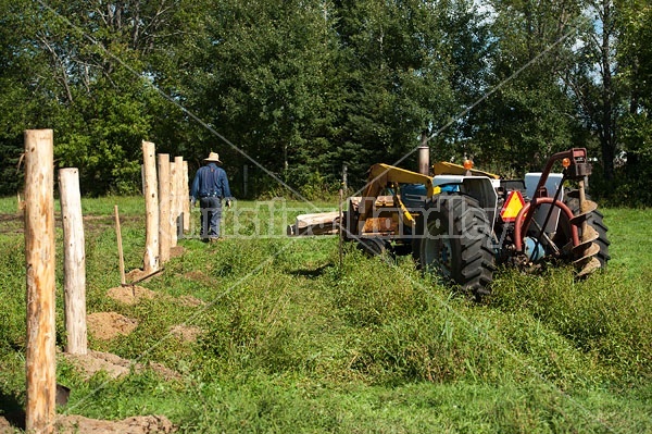 Farmer building new fence