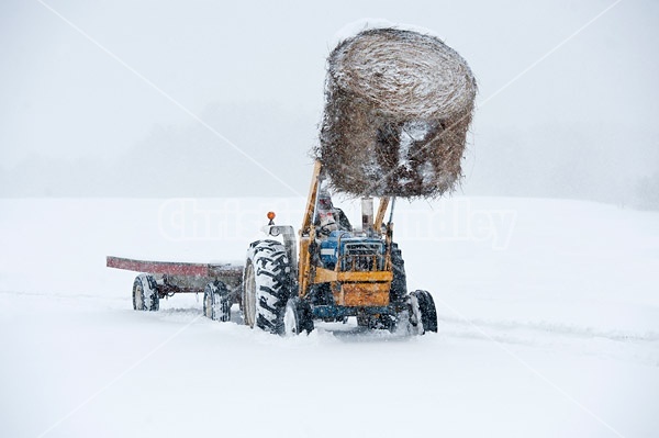 Winter Farming