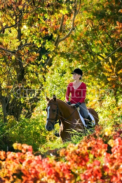 Young woman horseback riding in the fall of the year.