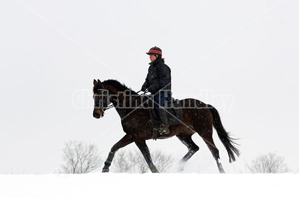 Woman horseback riding in the winter