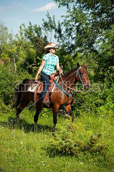 Woman trail riding on Standardbred mare