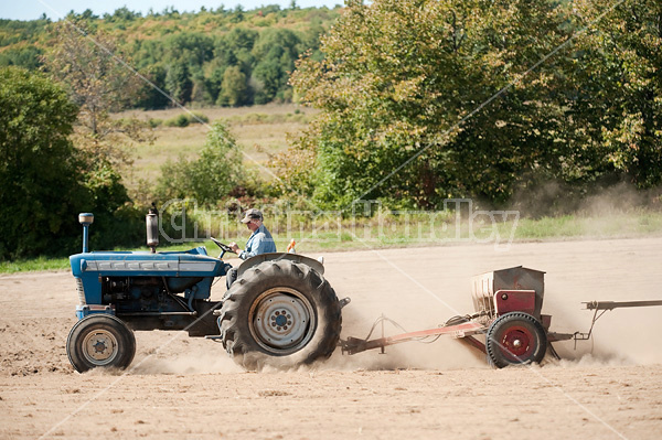 Farmer driving tractor and seed drill seeding oats