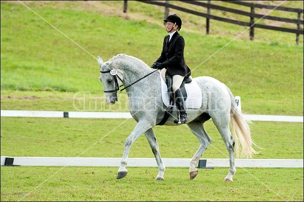 Lanes End Horse Trials