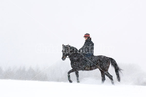 Woman horseback riding in the winter