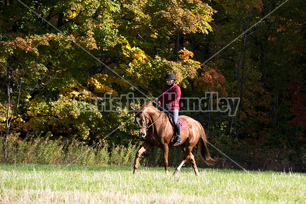 Woman riding chestnut horse in the autumn time