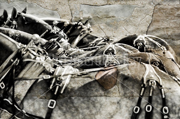 Draft horses in harness with an added stone wall texture