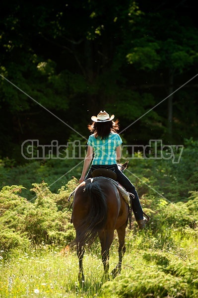 Woman trail riding on Standardbred mare