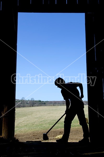 Farm woman silhouetted in barn doorway