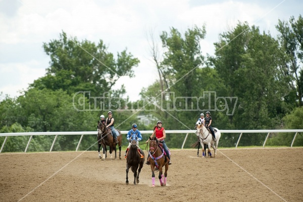 Quarter Horse Racing at Ajax Downs