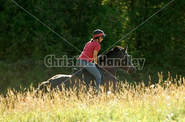 Woman horseback riding in field