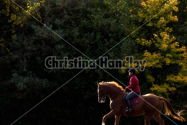 Woman riding chestnut horse in the autumn time