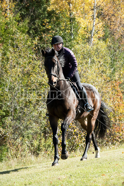 Woman riding Thoroughbred horse