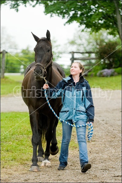 Horse Trials