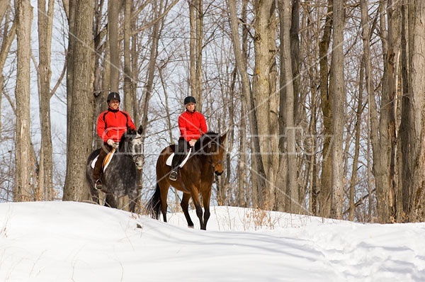 Horseback Riding in the Winter in Ontario Canada