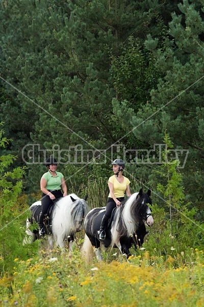 Two women riding Gypsy Vanner horses