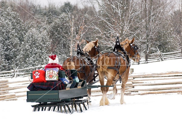 Santa Claus driving sleigh