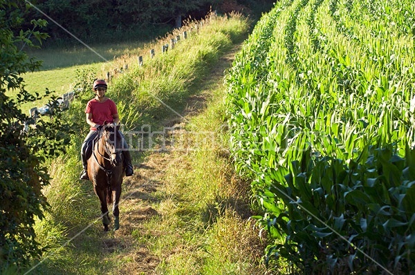 Woman horseback riding