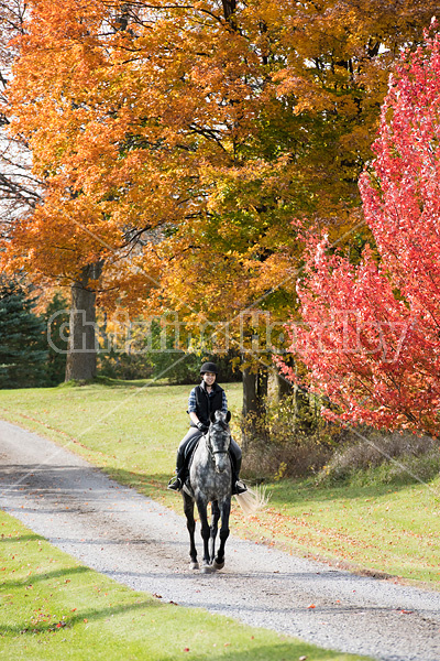 Young woman riding gray horse in the autumn colors