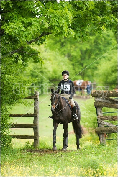 Horse Trials