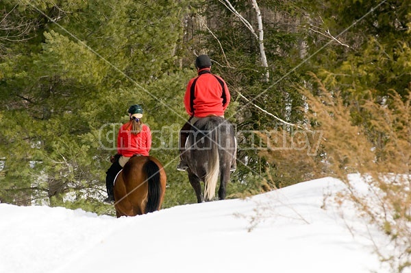 Horseback Riding in the Winter in Ontario Canada