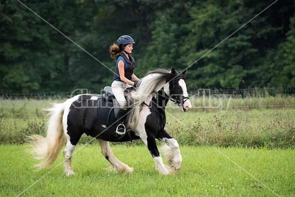 Young girl riding a Gypsy Vanner horse