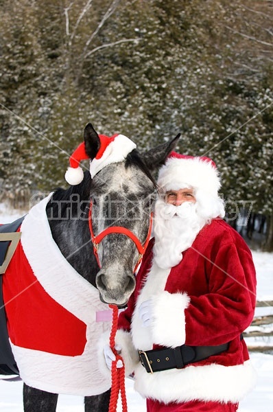 Santa Claus and his Horse