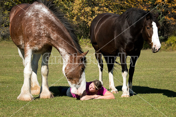 Portrait of a woman and her two horses