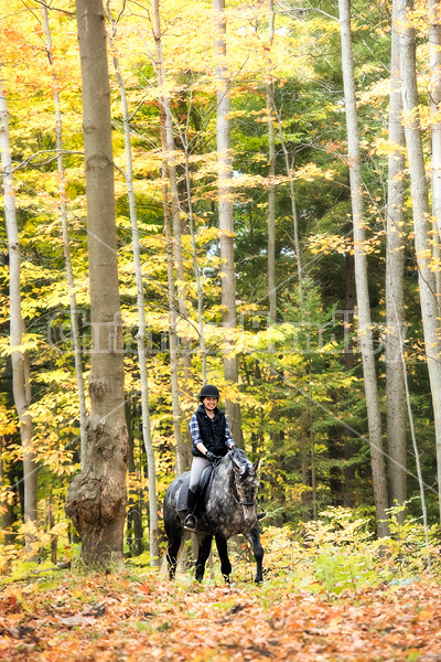 Young woman riding gray horse in the autumn colors