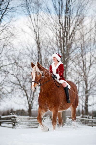 Mrs. Claus riding a Belgian draft horse bareback