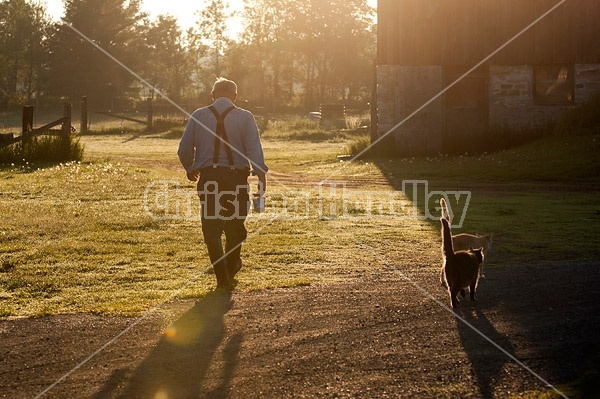 Farmer walking to the barn to feed the barn cats. They are following close behind