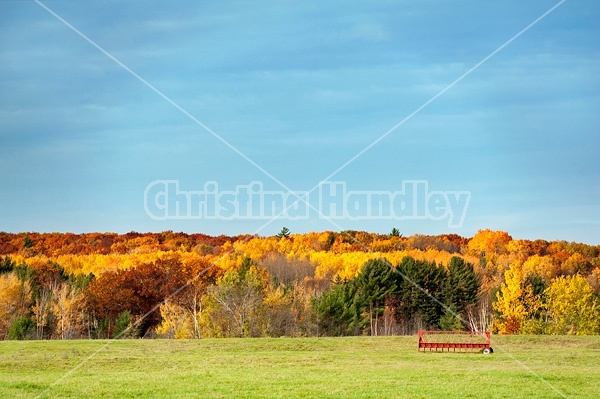 Autumn colored trees, field and sky