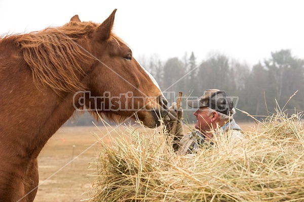Farmer standing next to round bale of hay patting horse