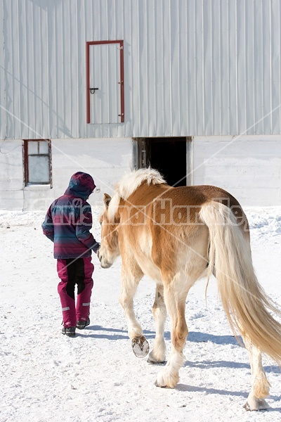 Young girl with her horse
