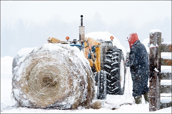 Farmer with tractor and round bale of hay