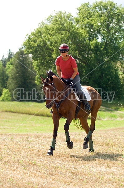 Woman horseback riding in field